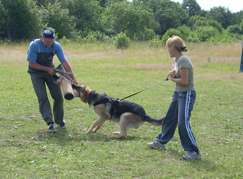 Training in Estonia 6/2007